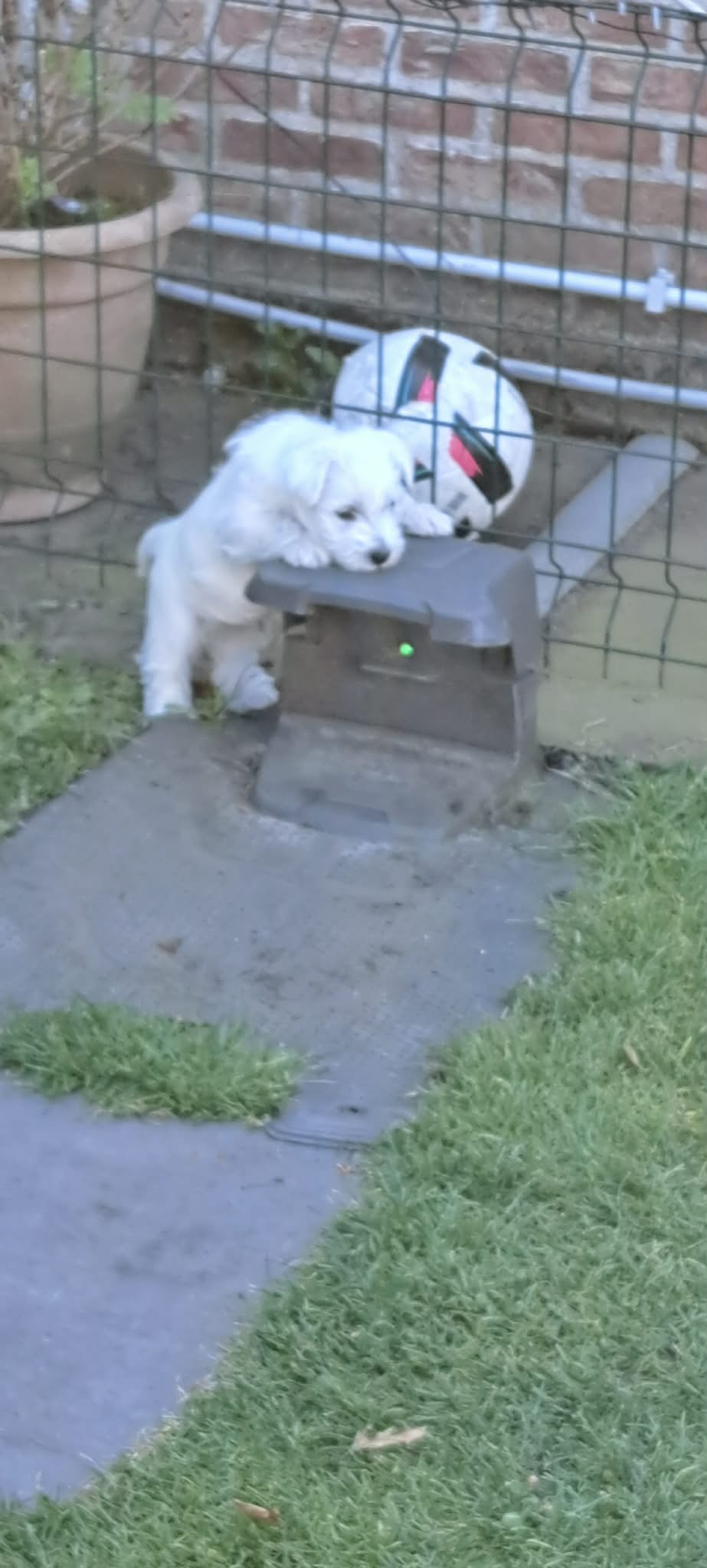 Zinn aan de oplader van de Hurby